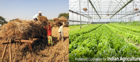 Importance of Agriculture in Indian Economy & Development