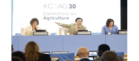 FAO Committee on Agriculture opens with strong call for science, innovation and technical solutions