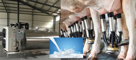 Milk cooling system used in dairy farm