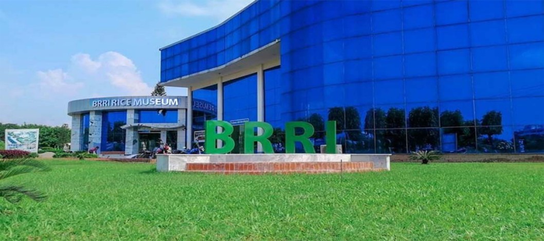BRRI holds seminar on 'Nitrogen Management in South Asian Agriculture'