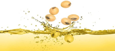 Bottled soybean oil price increased by Tk 5 per liter