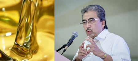 Malaysia steps up efforts to counter 'propaganda' on palm oil in India