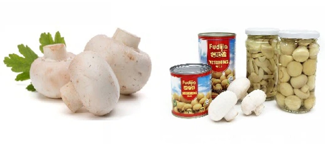 Feature about Knowledge Of Canned Mushroom