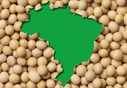 Brazil set a record for soybean exports in 2021