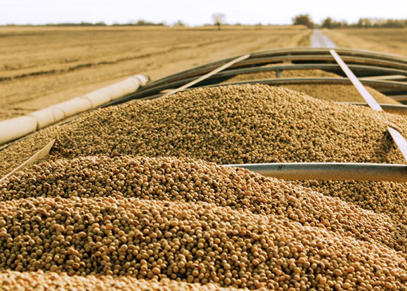 Soybean imports in China jumped 11.6% in June compared to May
