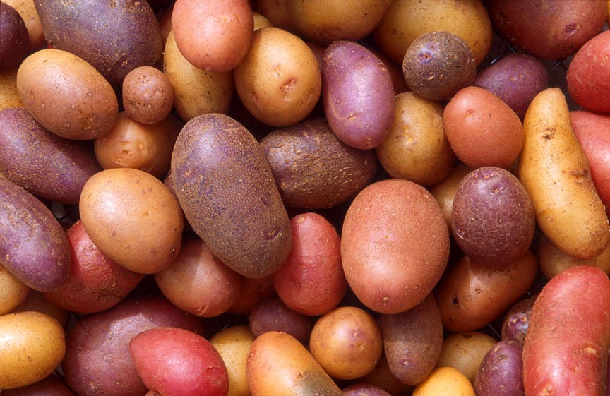 Government has increased the price of potato by Tk 5 per kg