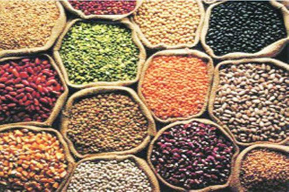 Prices of pulses in India by area till 16.10.2021